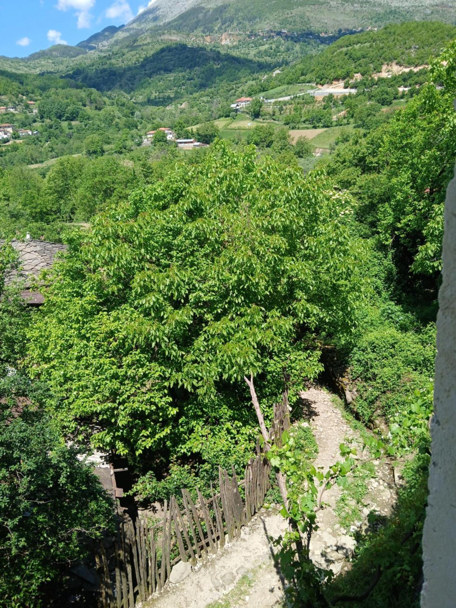 Bujtina Tusha Hotel Priska e Madhe Exterior photo